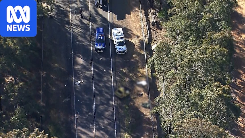 Driver killed in collision with truck in front of police cars at Appin