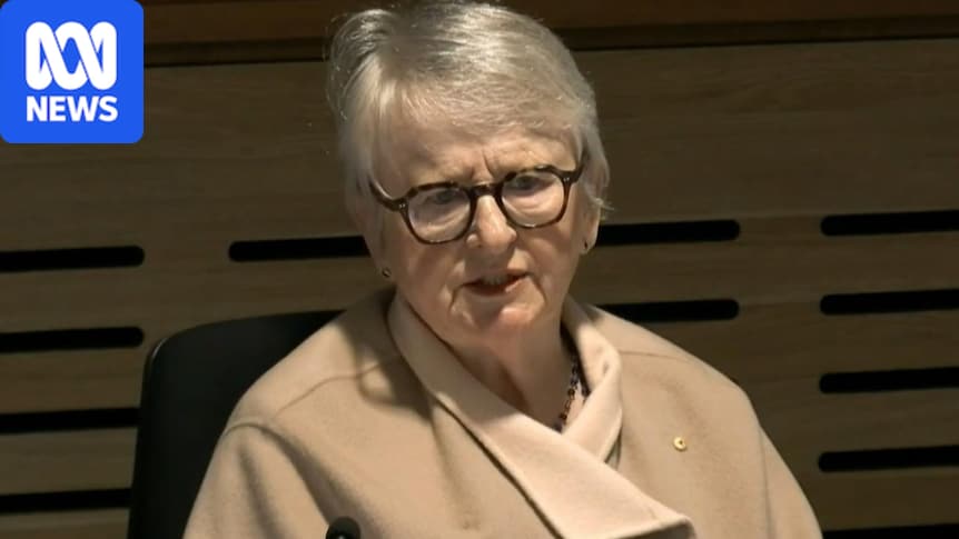 Royal commissioner denies pro-Palestinian groups tried to 'hijack' antisemitism inquiry