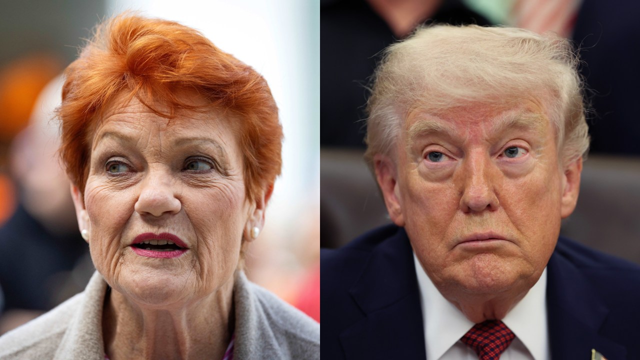 One Nation NSW boss Mike Newman likens Pauline Hanson’s ‘swamped by Asians’ comment to Donald Trump’s infamous ‘grab them by the p****’ remarks in News24 interview