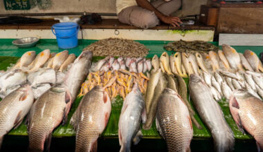 Flesh-Eating Bacteria Tied to Popular Seafood Leaves 12 Sick, 1 Dead