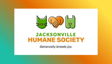 Human Society offering a Vet Camp for middle-schoolers Sept. 7