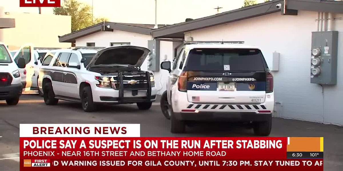 Suspect on the loose after man seriously injured in Phoenix stabbing