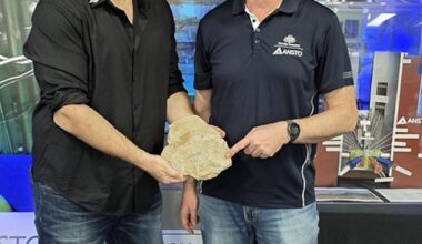 Rare fossil from Australia reveals one giant reptile's final meal, and the predator that tore it apart