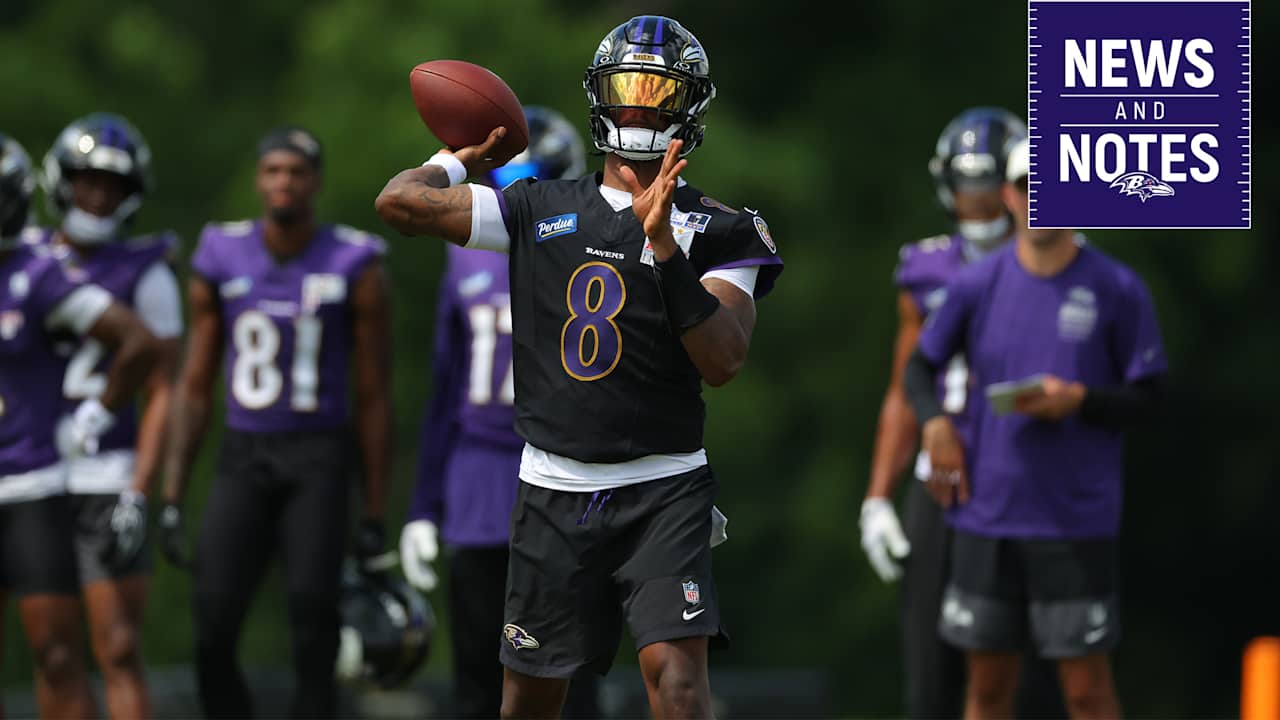 Baltimore Ravens logo
