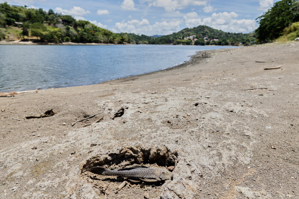 US declares drought disaster for areas in Puerto Rico as dry conditions persist