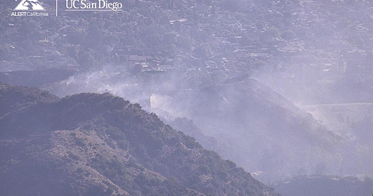 Firefighters battling brush fire in Burb