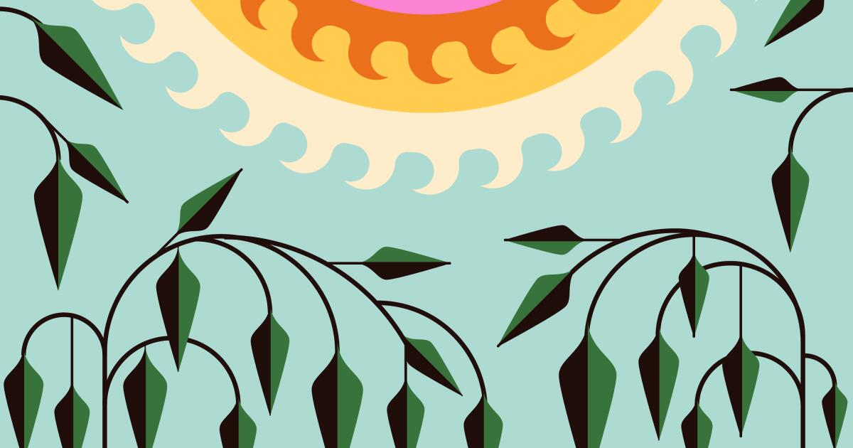 The pros and cons of planting native plants midsummer