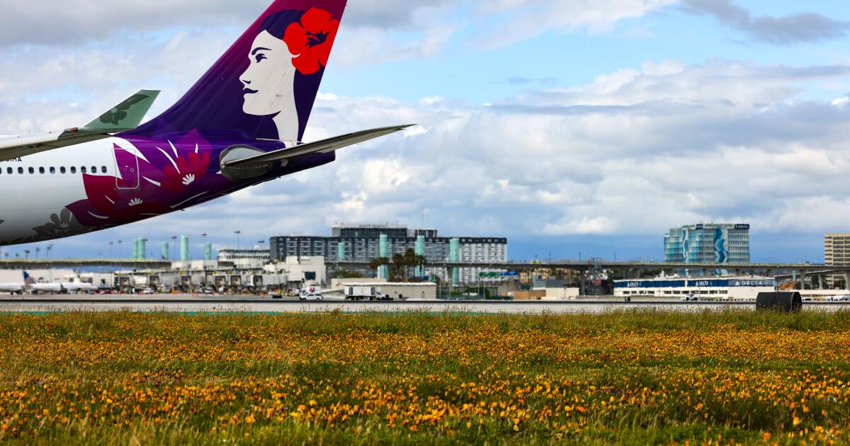 Hurricane Lala disrupts Los Angeles flights to Hawaii