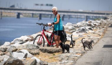 Gap in the L.A. River bike path downtown has a billion-dollar problem