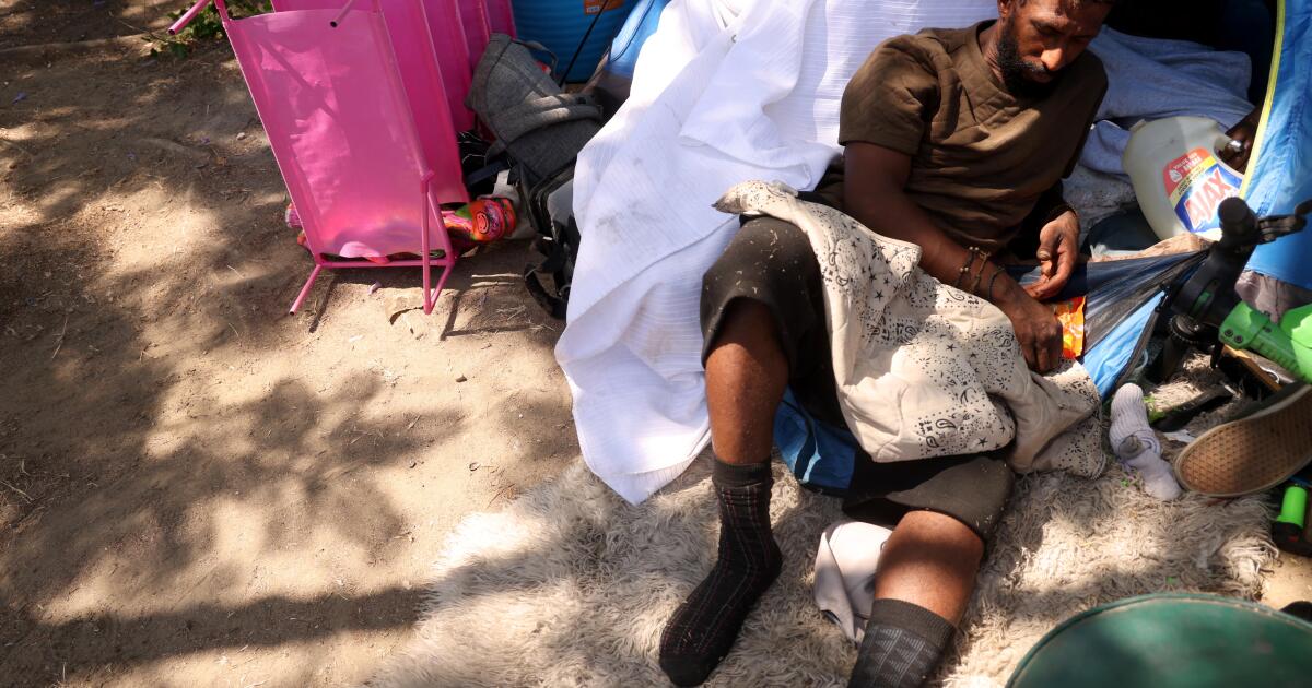 L.A. City Council repeals homeless camping bans in Echo Park, Silver Lake, Hollywood