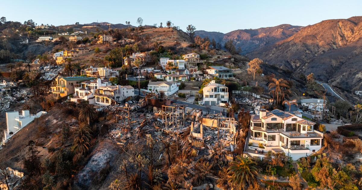 As L.A. burned, online gamblers bet on how much the fires would destroy. 'That was fun'