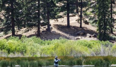 Man goes missing while camping in Big Bear, found dead