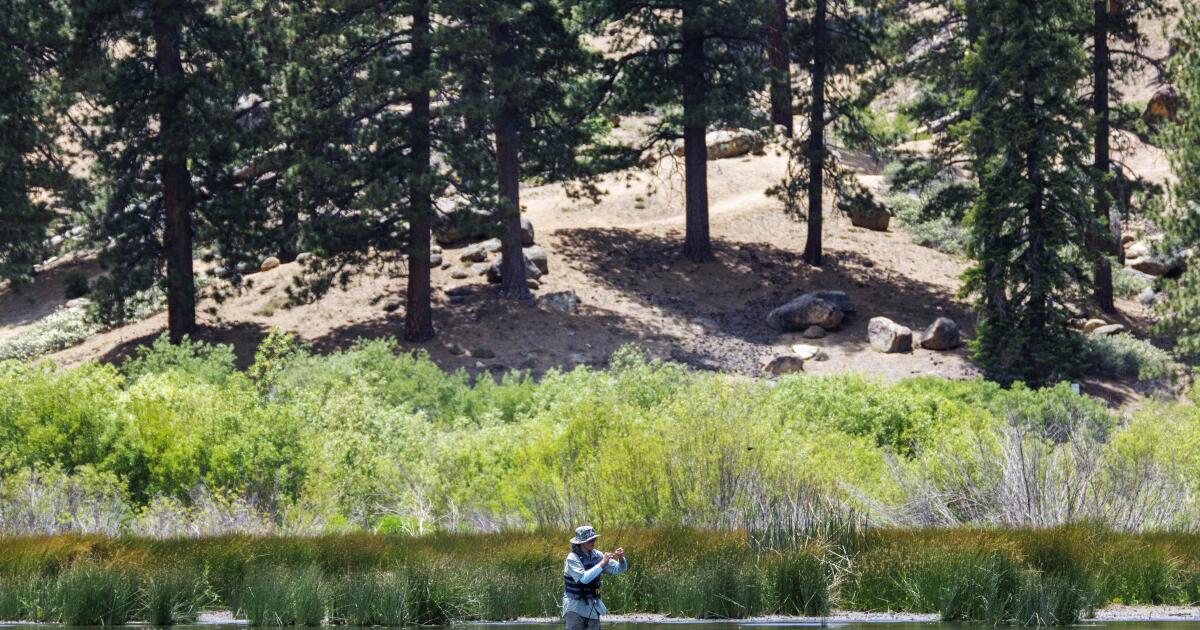 Man goes missing while camping in Big Bear, found dead