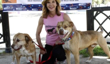251 dogs discovered at 'The Exorcist' actor Linda Blair's dog kennel.