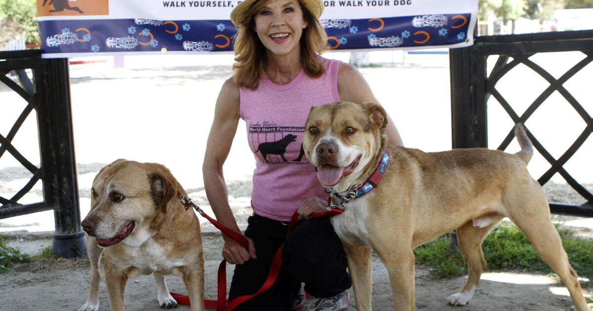 251 dogs discovered at 'The Exorcist' actor Linda Blair's dog kennel.