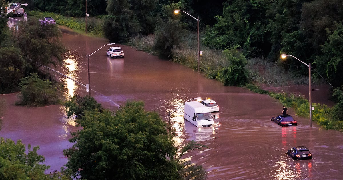 These Ontario cities saw more than 100 mm of rain following Wednesday’s storm. Here’s a top 10 list - CTV News