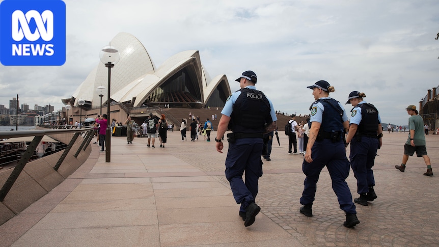 ISIS-inspired teen pleads guilty to preparing potential terror attack on Sydney Opera House