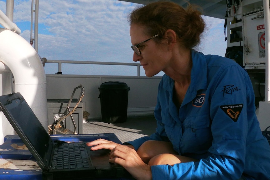 A woman in a long sleeved blue shirt viewed side on looks at a laptop with her fingers on the keyboard