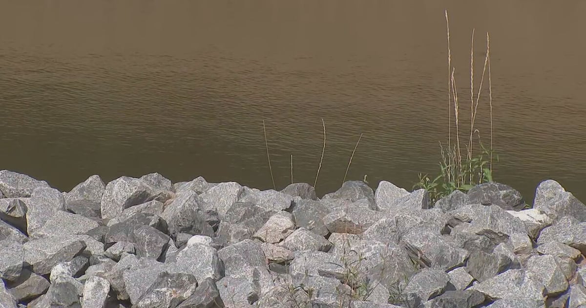 Special Committee on drowning prevention holds first meeting