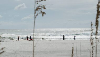 Father of 2 drowns after being caught in current trying to rescue seagull caught in fishing line