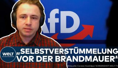 DEUTSCHLAND: Politik verheddert sich im Streit – AfD nutzt Situation geschickt!