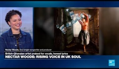 'I'm a music fan first before I'm a musician': Up-and-coming UK soul star Nectar Woode • FRANCE 24