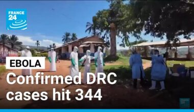 WHO says Ebola response catching up as confirmed DRC cases hit 344 • FRANCE 24 English