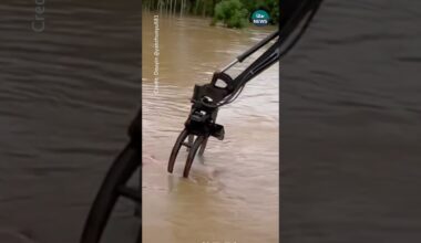 Watch the moment a pig is rescued from floodwater in China