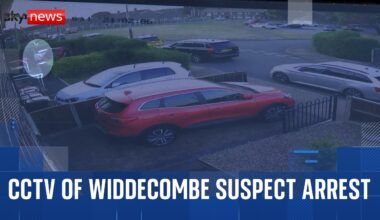 Moment man arrested after Ann Widdecombe death