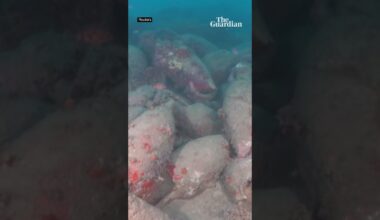 2,100-year-old Roman shipwreck discovered off Sicily coast
