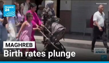 Birthrate drop in North Africa • FRANCE 24 English