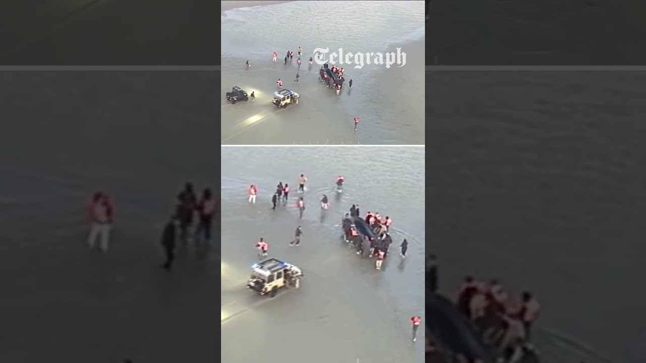 Moment French police slash migrant ‘taxi boat’