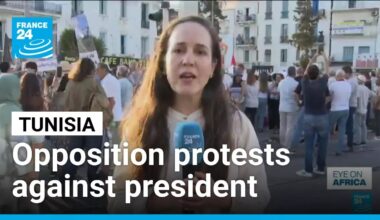 Tunisia opposition protests against president amid economic discontent • FRANCE 24 English
