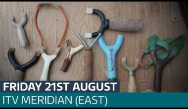 MP calls for catapults to be classed as offensive weapons | ITV Meridian (East)
