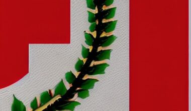 Flags, people, and landscapes of the EU (according to AI)