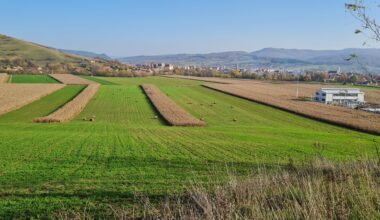 Somewhere in the center of Romania.