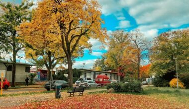 scenes from this autumn in Berlin
