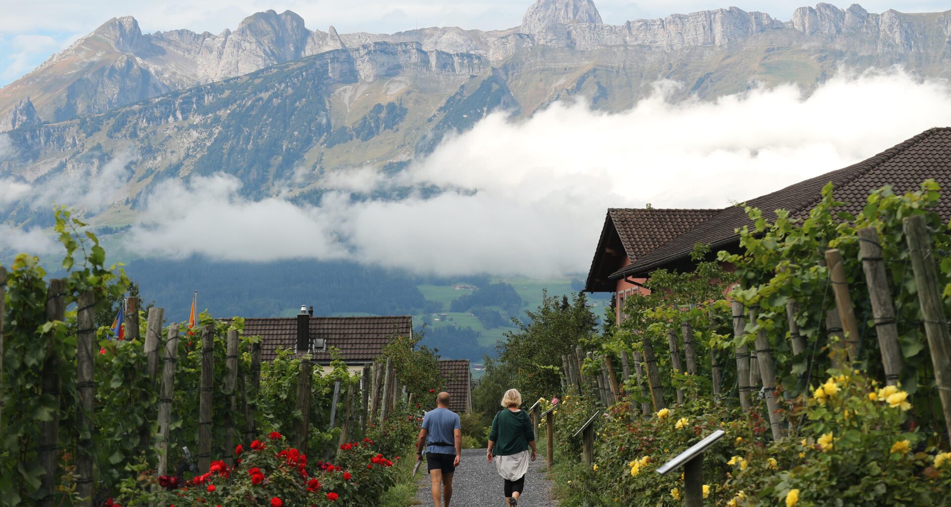 View from The Prince of Liechtenstein Winery. Vaduz, Liechtenstein [OS][OC][5184x3456]