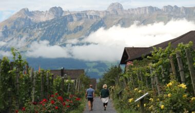 View from The Prince of Liechtenstein Winery. Vaduz, Liechtenstein [OS][OC][5184x3456]
