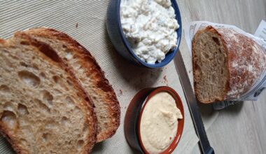 Baba Ganush et Hummus maison, miam avec du pain grillé c'est bon !
