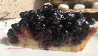 Tarte à la myrtille sauvage !