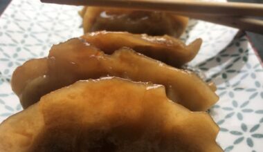 Gyoza... j'adore et c'est fastoche à confectionner !