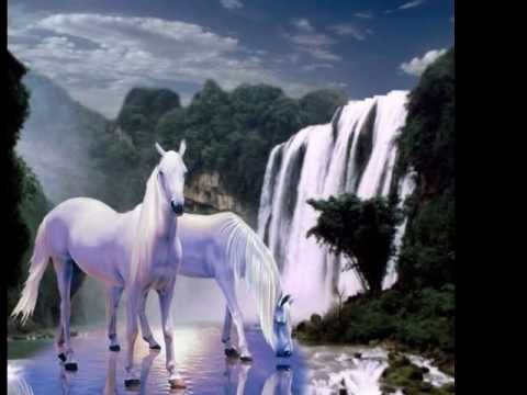 Liebster Austropop Titel? #bittedanke