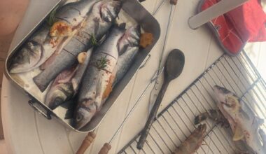 Petit barbecue du dimanche en famille :)