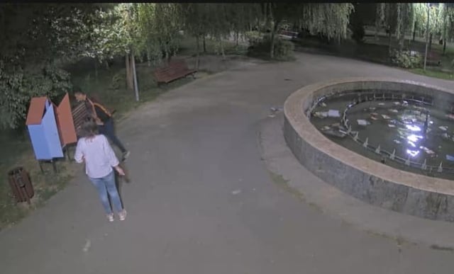 Azi noapte, la ora 1.59, un individ a fost surprins de camerele de supraveghere în timp ce distrugea căsuța cu cărți din Parcul Brâncuși din București