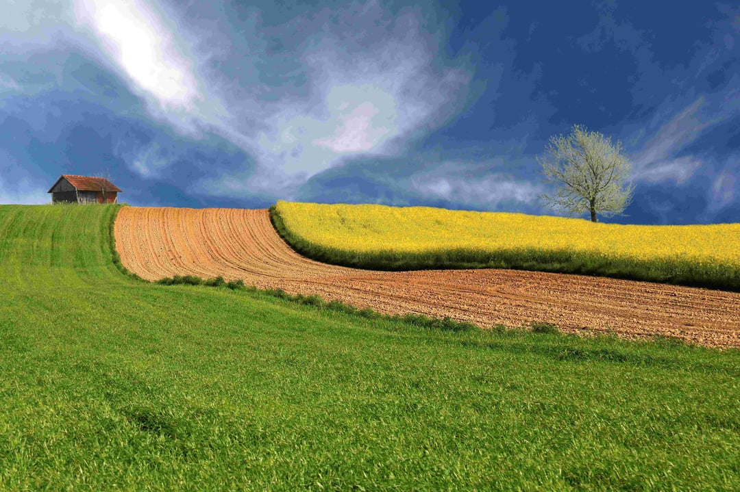 Pobjedničke fotografije natječaja Rural Photo