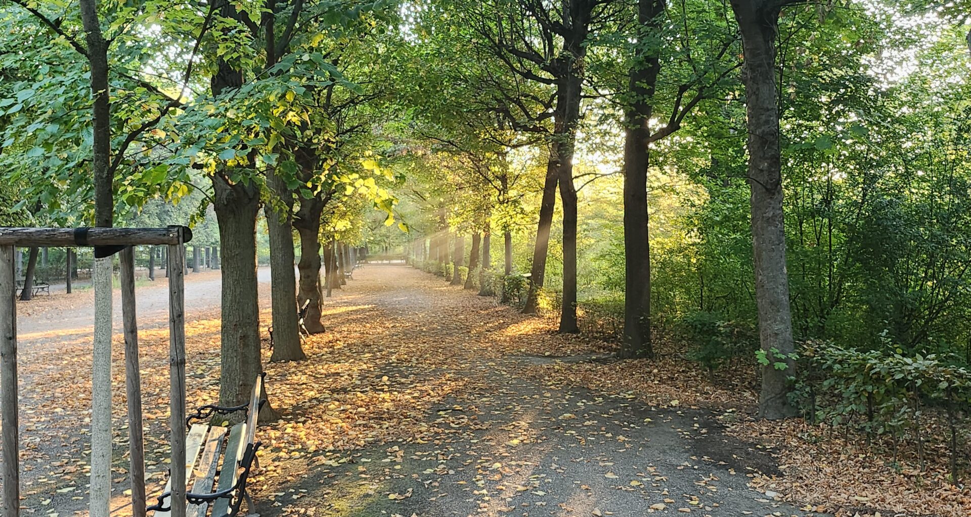Morgenstimmung im Schönbrunner Schlosspark