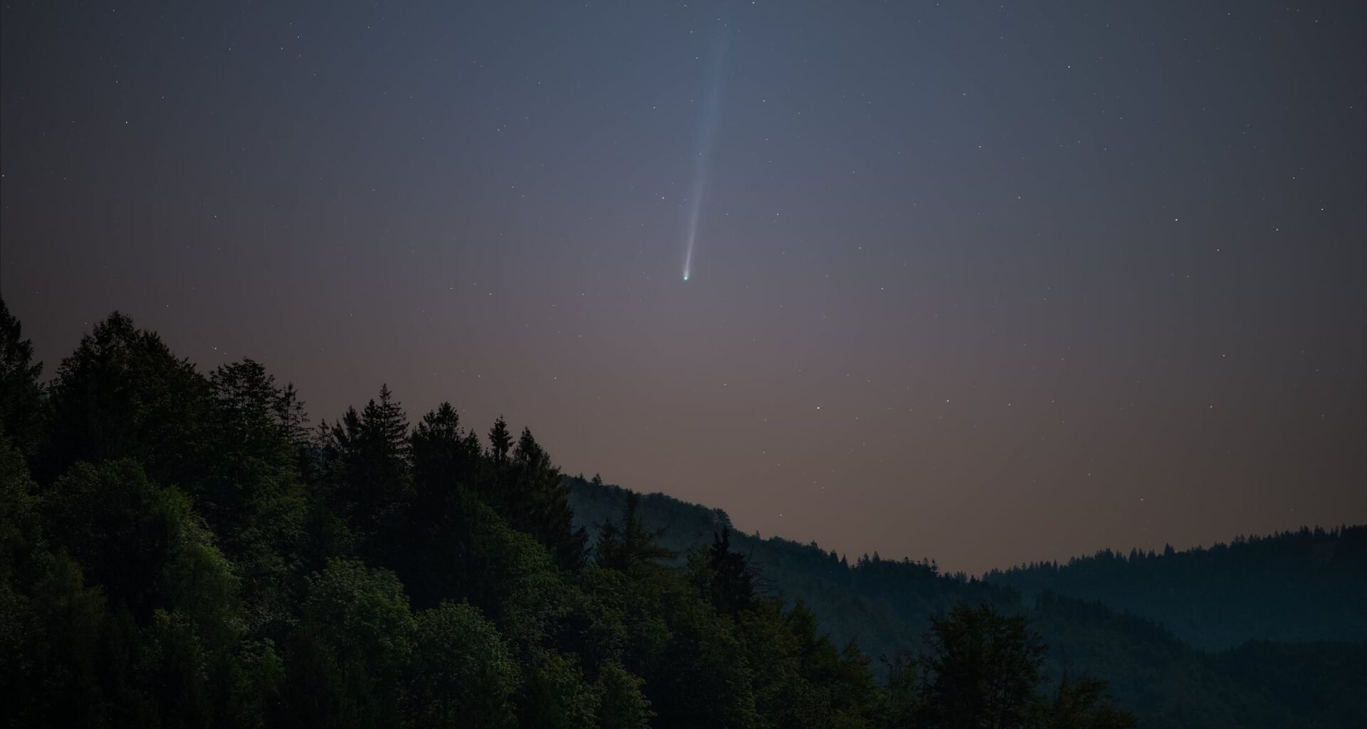 Z luno obsijana drevesa na cerkljanskem.