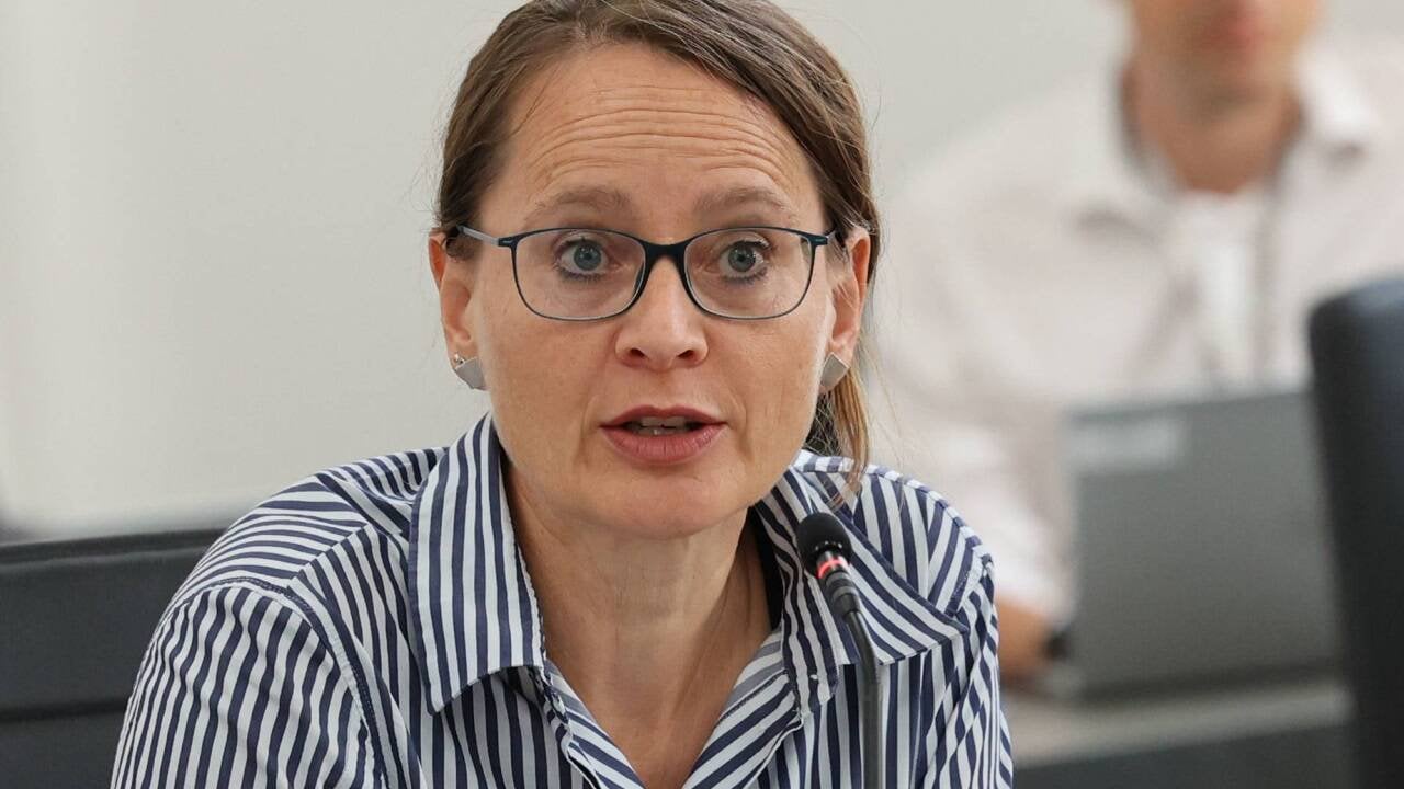 Salzburg AG: Schitter-Comeback versetzt Grüne in Aufregung