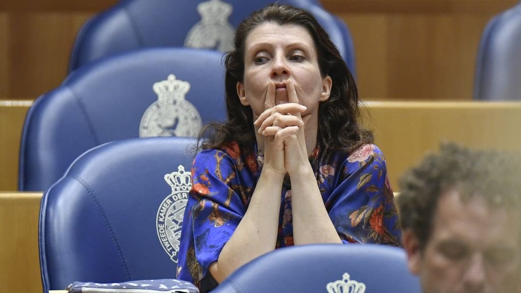 Conflict rond Ouwehand escaleerde voor de zomer al volledig